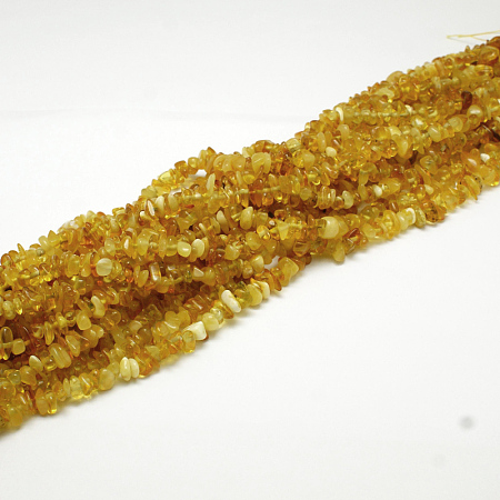 Honeyhandy Natural Amber Chip Beads Strands, 5~8x5~8mm, Hole: 1mm, about 15.5 inch