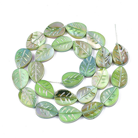 ARRICRAFT Freshwater Shell Beads Strands, AB Color Plated, Dyed, Leaf, Lime Green, 15~15.5x11~11.5x3mm, Hole: 1mm, 23~24pcs/strand, 14.3 inches~14.7 inches