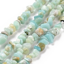 Natural Amazonite Chips Beads Strands, 5~8x5~8mm, Hole: 1mm, about 31.5 inch