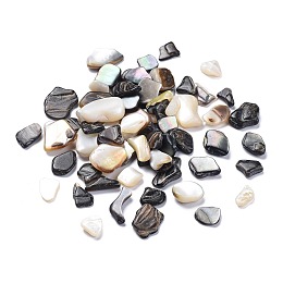 Honeyhandy Natural Black Lip Shell Beads, Shell Shards, No Hole/Undrilled, Chips, Mixed Color, 7.5~18.5x8.5~16mm