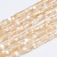 Honeyhandy Natural Trochid Shell/Trochus Shell Beads Strands, Column, Bisque, 3.5~4x2~2.5mm, Hole: 0.8mm, about 176pcs/strand, 15.94 inch(40.5cm)