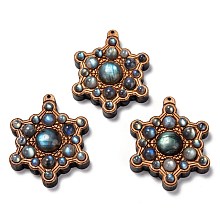 Honeyhandy Beech Wood Pendants, with Natural Labradorite Beads, Star, 45x36.5x11.5mm, Hole: 1mm