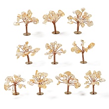 Honeyhandy Natural Citrine Chips Display Decorations, with Golden Plated Brass Wires, Lucky Tree, 24~27x32~41x33~42mm