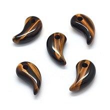 Honeyhandy Natural Tiger Eye Pendants, Magatama, 23x12~13x7~8mm, Hole: 3mm