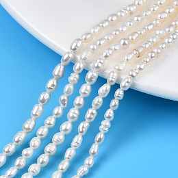 Honeyhandy Grade AA Natural Cultured Freshwater Pearl Beads Strands, Rice, Seashell Color, 3.5~5x3.5~4.5mm, Hole: 0.6mm, about 73~86pcs/strand, 13.70inch~13.78inch(34.8cm~35cm)