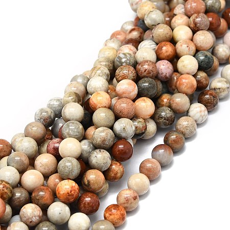 Honeyhandy Natural Fossil Coral Beads Strands, Round, 8mm, Hole: 1mm, about 49pcs/strand, 15.35''(39cm)