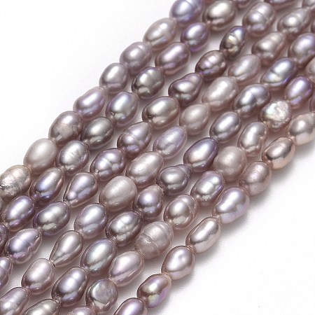 Grade AA Natural Cultured Freshwater Pearl Beads Strands, Rice, Thistle, 4.5~6.5x2.5~3.3mm, Hole: 0.5mm, about 74~83pcs/strand, 14.37''~14.56