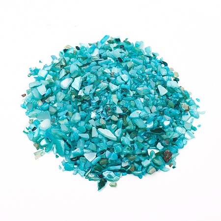Honeyhandy Natural Freshwater Shell Beads, Shell Shards, Dyed, No Hole, Chip, Dark Turquoise, 1~10x1~4x0.5~2mm