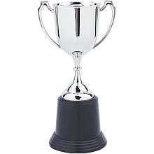 CREATCABIN Trophy Cup 8.6inch Plastic Trophies Round Base for Party Favors Props Rewards Sports Winning Prizes Competitions Award Ceremony and Appreciation Gift, Silver Color