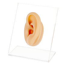 OLYCRAFT Left Ear Displays Model Silicone Ear Model Rubber Ear Silicone Flexible Ear Model with Acrylic Display Stands for Teaching Tools Jewelry Display Earrings Professional Piercings Practice