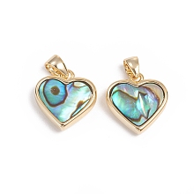 Honeyhandy Natural Abalone Shell/Paua Shell Charms, with Golden Plated Brass Findings, Long-Lasting Plated, Heart, 12x12x3mm, Hole: 3x2.5mm