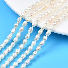 Honeyhandy Grade AA Natural Cultured Freshwater Pearl Beads Strands, Rice, Seashell Color, 5.5~9x4~5.5mm, Hole: 0.6mm, about 56~57pcs/strand, 13.94 inch~14.17 inch(35.4cm~36cm)