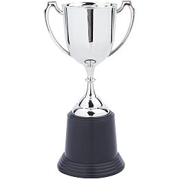 CREATCABIN Trophy Cup 8.6inch Plastic Trophies Round Base for Party Favors Props Rewards Sports Winning Prizes Competitions Award Ceremony and Appreciation Gift, Silver Color