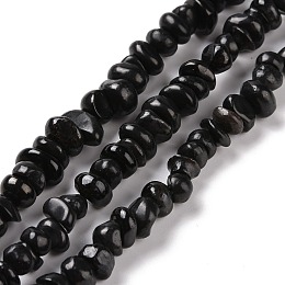 Honeyhandy Natural Shungite Stone Beads Strands, Nuggets, 4~11x3.5~7x3~4mm, Hole: 1mm, about 111~116pcs/strand, 15.16~15.55 inch(38.5~39.5cm)