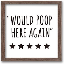 FINGERINSPIRE Would Poop Here Again Sign Funny Washroom Decor Art Sign Solid Wood Framed Block Sign with Arylic Layer 13x13 Inch Large Hangable Wooden Frame for Washroom Decor