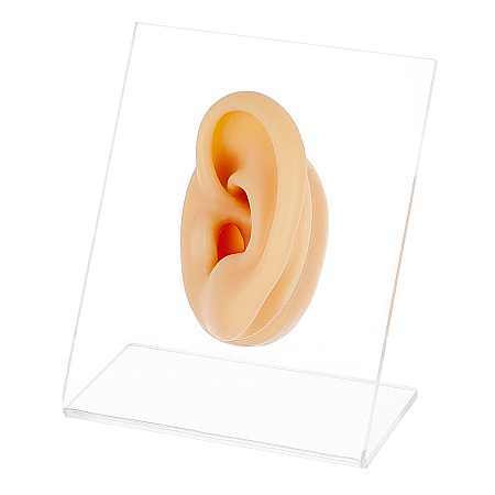 OLYCRAFT Left Ear Displays Model Silicone Ear Model Rubber Ear Silicone Flexible Ear Model with Acrylic Display Stands for Teaching Tools Jewelry Display Earrings Professional Piercings Practice