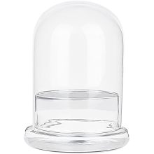 NBEADS Decorative Glass Dome Cover, 5.91×7.87 Inch Small Display Dome Cloche Bell Jar Clear Display Case for Plants Miniature Succulents Flower Fairy Lights Table Decor