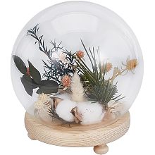 BENECREAT 5.9 inch Round Glass Cloche Ball Jar Dome with Wooden Base, Clear Glass Display Pedestals for Centerpieces Plants Rocks Decorations Crafts, Tan