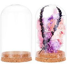 OLYCRAFT 2Pcs Glass Dome Cover with Cork Base 3.1x5.9 Inch Column Glass Dome Display Clear Glass Dome Eternal Flower Glass Display Case Cloche Bell Jar for Flower Storage Home Party Decoration