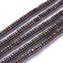 Honeyhandy Natural Bronzite Bead Strands, Disc, Heishi Beads, 4x2~2.5mm, Hole: 0.8mm, about 164pcs/strand, 15.75''(40cm)