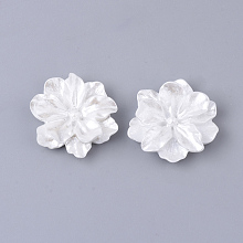 Honeyhandy Resin Cabochons, Imitation Pearl Style, Flower, White, 23~24x23~24x7mm