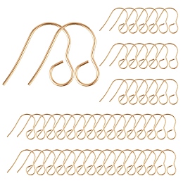 Honeyhandy 100Pcs 316 Stainless Steel Hypoallergenic French Earring Hooks, Flat Earring Hooks, Ear Wire, with Horizontal Loop, Golden, 18mm, Hole: 4.6mm, 20 Gauge, Pin: 0.8mm