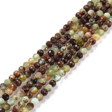 Honeyhandy Natural Chrysoprase Beads Strands, Faceted, Round, 3mm, Hole: 0.6mm, about 129~135pcs/strand, 15.35''(39cm)