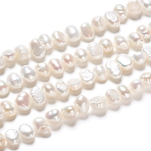 Honeyhandy Natural Cultured Freshwater Pearl Beads Strands, Two Sides Polished, Nuggets, Antique White, 4.5~6.5x3~4x4~5.5mm, Hole: 0.5mm, about 39pcs/strand, 7.09 inch(18cm)