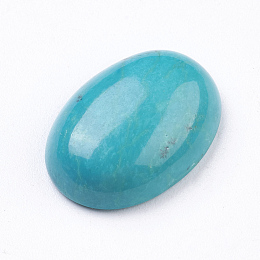 Honeyhandy Natural Howlite Cabochons, Oval, Dyed, Turquoise, 18x13.5x5.5mm