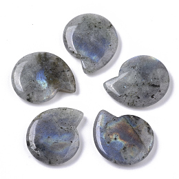 Honeyhandy Natural Labradorite Beads, No Hole/Undrilled, Spiral Shell Shape, 25x21x5mm