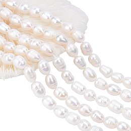 Cowrie Shell & Pearl Beads for Craft | Beebeecraft.com
