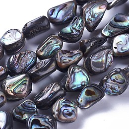 Honeyhandy Natural Abalone Shell/Paua Shell Beads Strands, Nuggets, 10~19x9~14x5~8mm, Hole: 1mm, about 28~30pcs/strand, 15.7~15.9 inch(40~40.5cm)