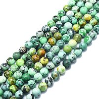 Natural Variscite Beads Strands, Round, 8~8.5mm, Hole: 1mm, about 50pcs/strand, 15.55 inch(39.5cm)