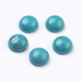 Honeyhandy Natural Howlite Cabochons, Half Round, Dyed, Turquoise, 10x5mm