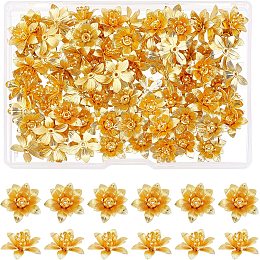 SUPERFINDINGS 64pcs 16mm Brass Flower Bead Caps Golden 3D Multi-Petal Flower Bead End Caps Metal Beads Spacers for Jewelry DIY Necklace Bracelet Making,Hole:0.8mm