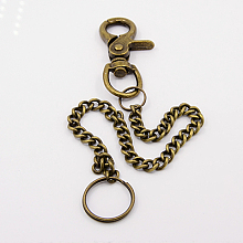 Honeyhandy Alloy Long Keychain, with Swivel Lobster Claw Clasps, Ring, Antique Bronze, 320mm.