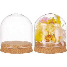 BENECREAT 2 Set Glass Display Dome with Cork Base, 3.1x2.8 inch Tabletop Centerpiece Cloche Bell Jar for Flower Plants, Specimens, Crafts Decorations, Inner Diameter: 76mm