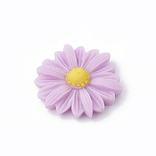 Honeyhandy Resin Cabochons, Flower/Daisy, Plum, 23x22x7mm