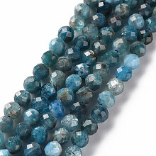 Honeyhandy Natural Apatite Beads Strands, Round, Faceted, 4mm, Hole: 0.6mm, about 95~97pcs/strand, 15.35 inch(39cm)