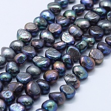 Honeyhandy Natural Cultured Freshwater Pearl Beads Strands, Dyed, Two Sides Polished, Midnight Blue, 7~8x7~9x5~8mm, Hole: 0.8mm, about 45pcs/strand, 13.19 inch~13.39 inch(33.5~34cm)