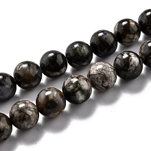 Honeyhandy Natural Glaucophane Beads Strands, Round, 8.5mm, Hole: 1.2mm, about 47pcs/strand, 15.67''(39.8cm)