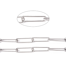 Honeyhandy 304 Stainless Steel Paperclip Chains, Drawn Elongated Cable Chains, Soldered, with Spool, Stainless Steel Color, Links: 21.5x6x1mm, about 32.8 Feet(10m)/roll