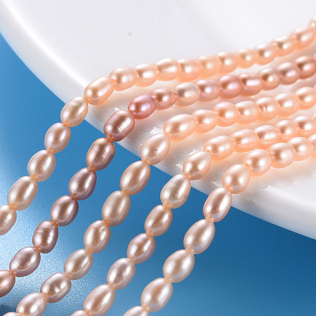 Arricraft Natural Cultured Freshwater Pearl Beads Strands, Rice, Light Salmon, 4.5~6x3~3.5mm, Hole: 0.5mm, about 76~78pcs/strand, 15 inch~15.24 inch(38.1~38.7cm)