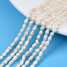 Honeyhandy Natural Cultured Freshwater Pearl Beads Strands, Rice, Seashell Color, 3.5~6x3~4mm, Hole: 0.7mm, about 72~76pcs/strand, 13.58 inch~13.98 inch(34.5cm~35.5cm)