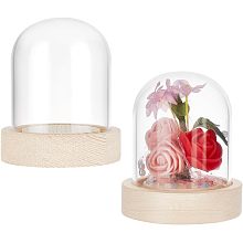 NBEADS 2 Sets Glass Display Dome, 2.42" in Diameter Round Glass Display Dome Glass Cloche Dome Clear Glass Display Dome Cover with Wood Base for Centerpieces Plants Rocks Specimens Decorations Crafts