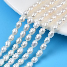 Honeyhandy Grade AAA Natural Cultured Freshwater Pearl Beads Strands, Rice, Seashell Color, 6~7.5x4.5~5mm, Hole: 0.6mm, about 60pcs/strand, 15.43inch~15.67inch(39.2cm~39.8)