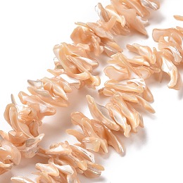 Honeyhandy Natural Trochid Shell Beads Strands, Chip, PeachPuff, 2~11x22~25x5~8mm, Hole: 0.8mm, about 93~148pcs/strand, 14.57~15.94 inch(37~40.5cm)