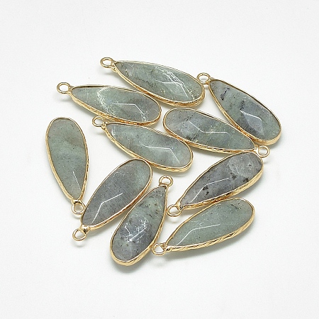 Honeyhandy Natural Labradorite Pendants, with Golden Tone Brass Findings, Faceted, Teardrop, 32x11.5x6mm, Hole: 2mm