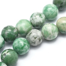 Honeyhandy Natural Qinghai Jade Beads Strands, Round, 10mm, Hole: 1mm, about 37pcs/strand, 14.9 inch(38cm)