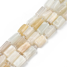 Honeyhandy Natural White Moonstone Beads Strands, with Seed Beads, Faceted, Column, 8.5~12x5.5~7.5x4.5~7mm, Hole: 1.2mm, about 15~16pcs/strand, 7.09 inch~7.68 inch(18~19.5cm)